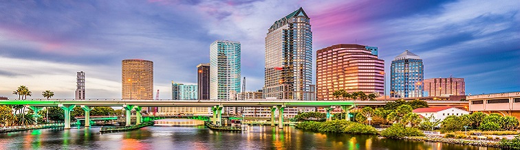 resume writer tampa fl